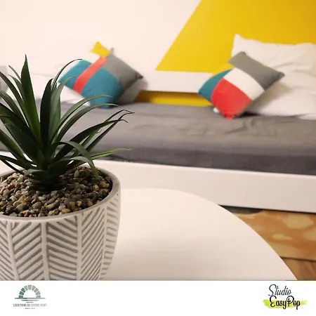 Locations Du Grand Pont - Poitiers - Futuroscope * Chasseneuil-du-Poitou