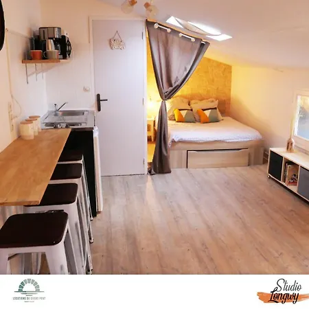 Locations Du Grand Pont - Poitiers - Futuroscope 公寓 沙斯讷伊迪普瓦图