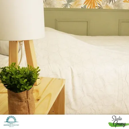 公寓 Locations Du Grand Pont - Poitiers - Futuroscope *