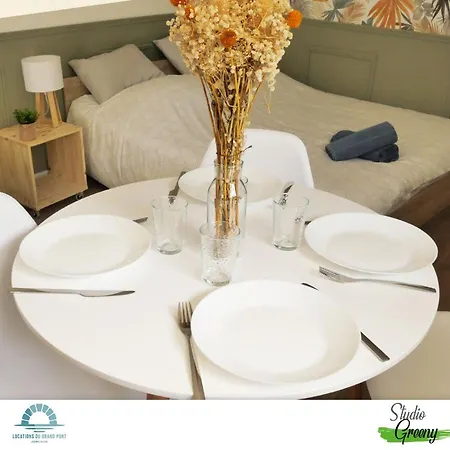 公寓 Locations Du Grand Pont - Poitiers - Futuroscope 沙斯讷伊迪普瓦图