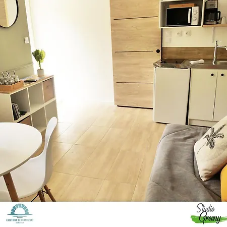 Locations Du Grand Pont - Poitiers - Futuroscope 沙斯讷伊迪普瓦图