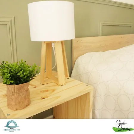 Locations Du Grand Pont - Poitiers - Futuroscope 公寓 *