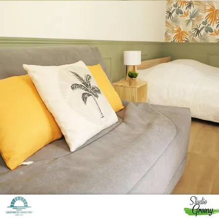 Locations Du Grand Pont - Poitiers - Futuroscope 沙斯讷伊迪普瓦图