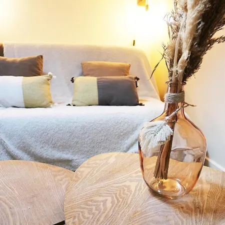 Locations Du Grand Pont - Poitiers - Futuroscope *