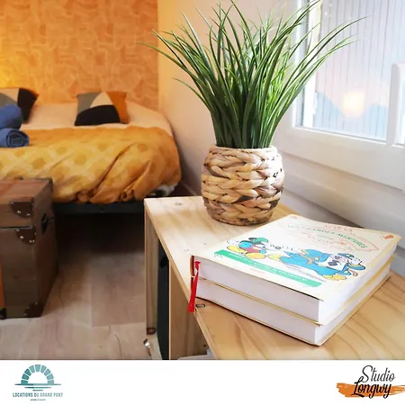 公寓 Locations Du Grand Pont - Poitiers - Futuroscope