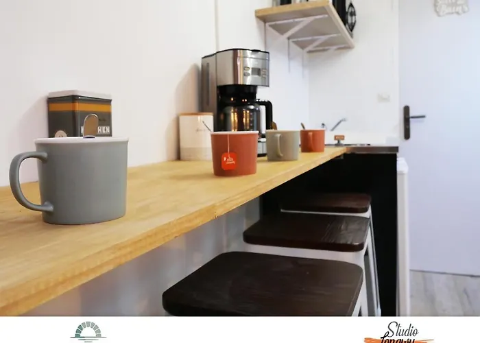 Locations Du Grand Pont - Poitiers - Futuroscope *