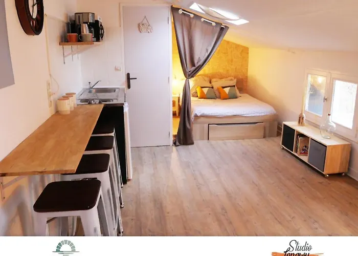 Locations Du Grand Pont - Poitiers - Futuroscope Apartment Chasseneuil-du-Poitou