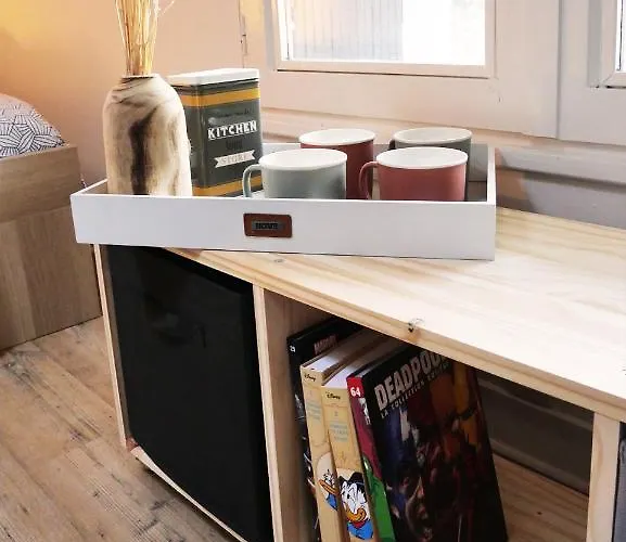 Locations Du Grand Pont - Poitiers - Futuroscope