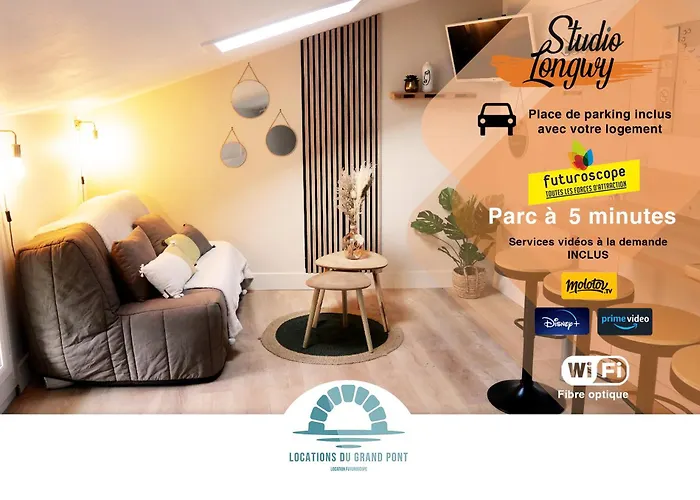 Locations Du Grand Pont - Poitiers - Futuroscope Apartment *